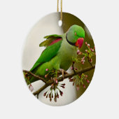 インディアン輪首鸚鵡 セラミックオーナメント (右)