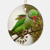 インディアン輪首鸚鵡 セラミックオーナメント (左)