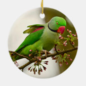 インディアン輪首鸚鵡 セラミックオーナメント (裏面)