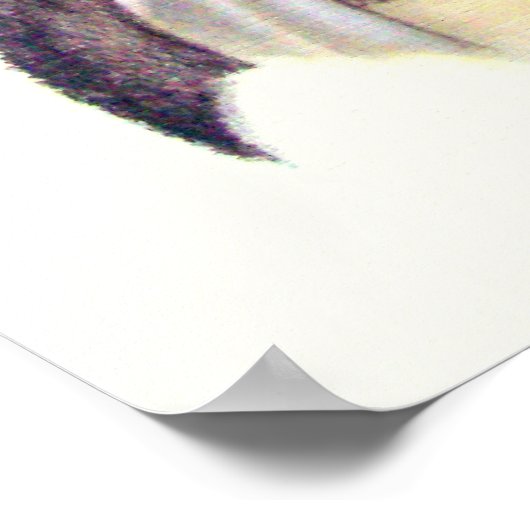 インディアン長 ポスター (角)