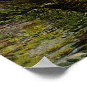 インディアン頭の見解 ポスター (角)