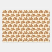 インディアン食品ベジタリアン料理揚げサモザペストリー ラッピングペーパーシート (正面)