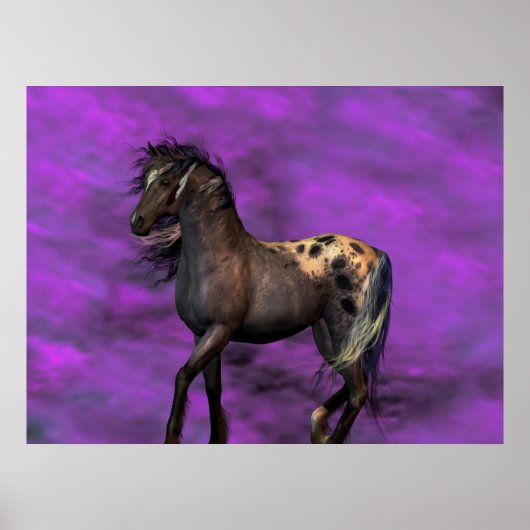 インディアン馬 ポスター (正面)