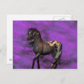 インディアン馬 ポストカード (正面/裏面)