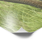 インディアン/アジア象と若い象，コルベット2 フォトプリント            (角)