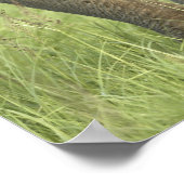 インディアン/アジア象と若い象，コルベット2 ポスター (角)