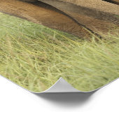 インディアン/アジア象と若い象，コルベット ポスター (角)