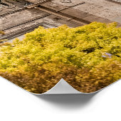 インディアン ポスター (角)