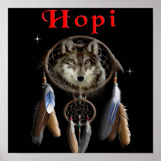 インディアン ポスター (正面)