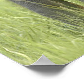 インディアン ポスター (角)