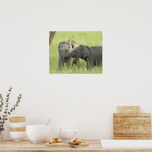 インディアン ポスター (キッチン)