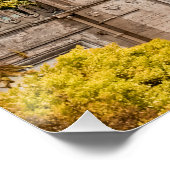 インディアン ポスター (コーナー)