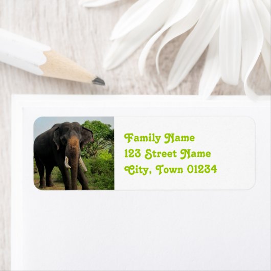 インディアン ラベル (インサイチュ)