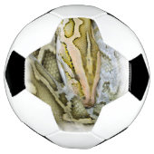 インディアンpythonのクローズアップ サッカーボール (回転)