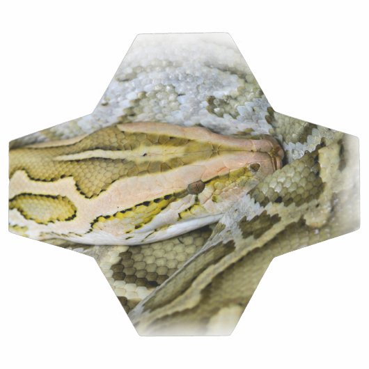 インディアンpythonのクローズアップ サッカーボール (フラット)