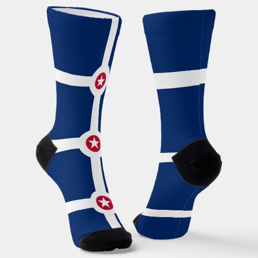 インディア地球に優しナポリス州旗を持つメンズソックス ソックス (傾斜あり)