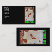 インディカ島球菌 名刺 (正面/裏面)