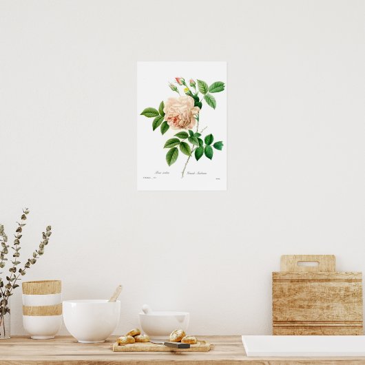 インディカ州 ポスター (キッチン)