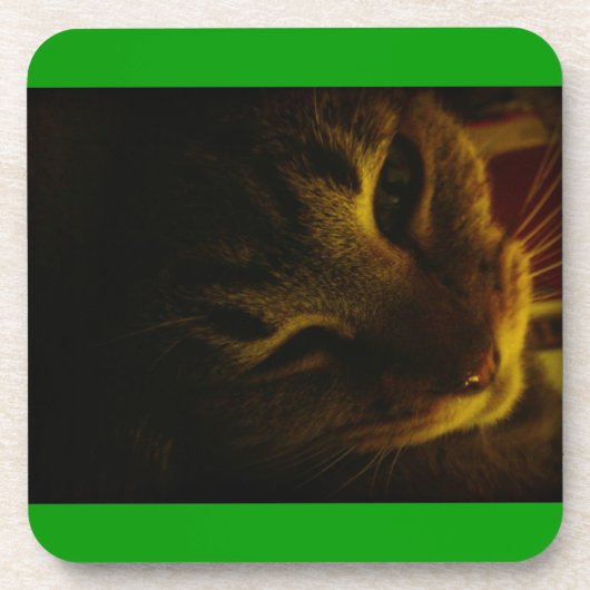 インディゴのクローズアップ コースター (正面)