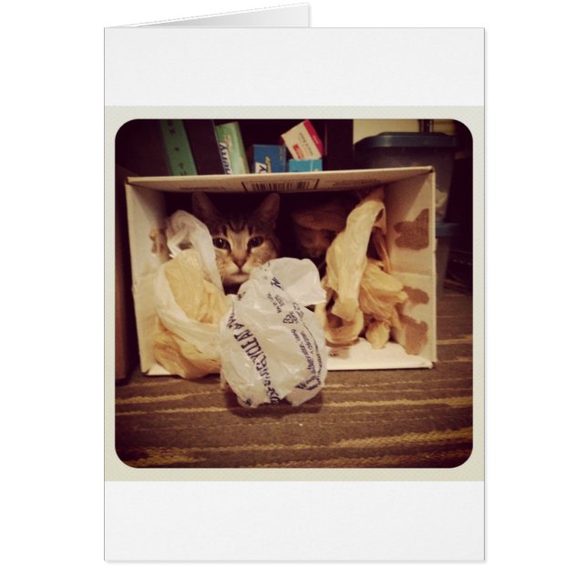 インディゴの秘密の隠れ家 (正面)