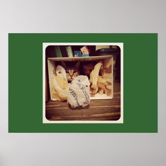 インディゴの秘密の隠れ家 ポスター (正面)