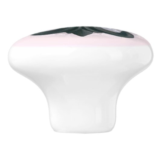 インディゴはまたは引き"鉄（紋章の）フラ・ダ・リ"のキャビネットの上がりました セラミックノブ (側面)