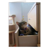 インディゴカードの引き出し (正面)