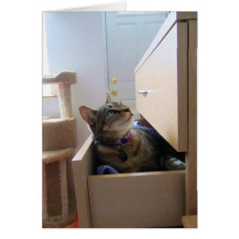 インディゴカードの引き出し