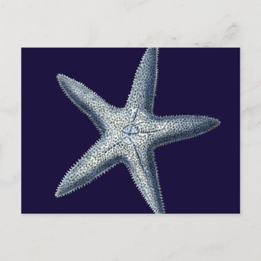 インディゴシェルIV ポストカード (正面)