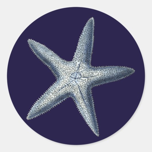 インディゴシェルIV ラウンドシール (正面)