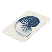 インディゴシャークアイシーシェル マグネット (左側)