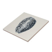 インディゴシーシェル タイル (側面)