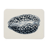 インディゴシーシェル マグネット (横)