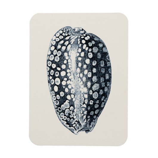 インディゴシーシェル マグネット (縦)