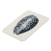 インディゴシーシェル マグネット (左側)