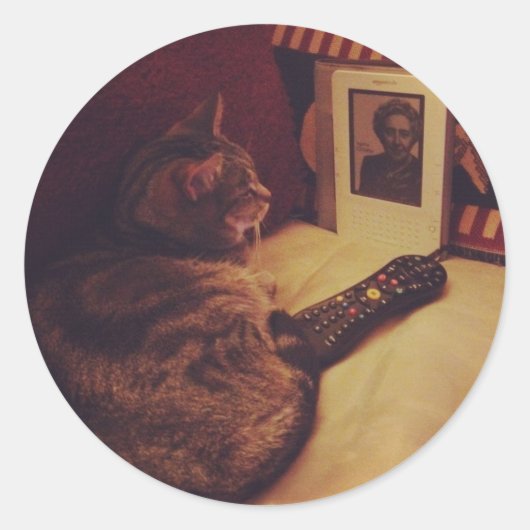 インディゴスKindle ラウンドシール (正面)