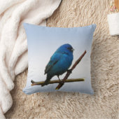 インディゴバンティング クッション (ブランケット)