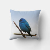 インディゴバンティング クッション (裏面)