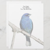 インディゴバンティング レターヘッド (正面/裏面)