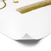 インディゴバンティンジョン・ジェームス・アウドゥボン・バード・オブ・アメリカ フォトプリント            (角)