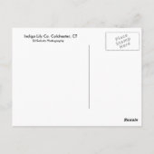 インディゴユリCo. ポストカード (裏面)