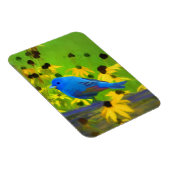 インディゴ絵画バンティング – Bird Art マグネット (右側)