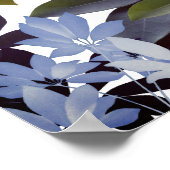 インディゴ離れの植物のポスター ポスター (角)