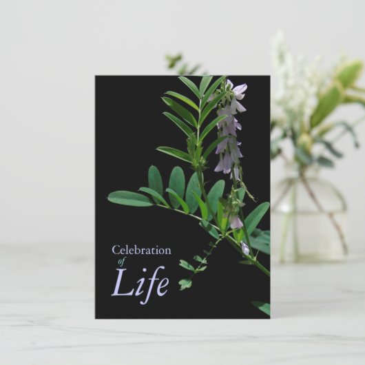 インディゴ1お祝い·オブ·ライフ葬儀発表 招待状 (スタンド正面)