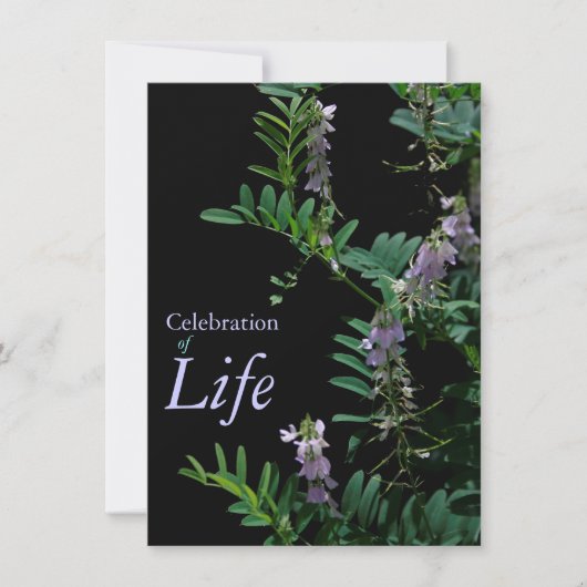 インディゴ3お祝い·オブ·ライフ葬儀発表 招待状 (正面)