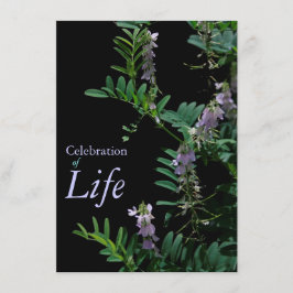 インディゴ3お祝い·オブ·ライフ葬儀発表 招待状