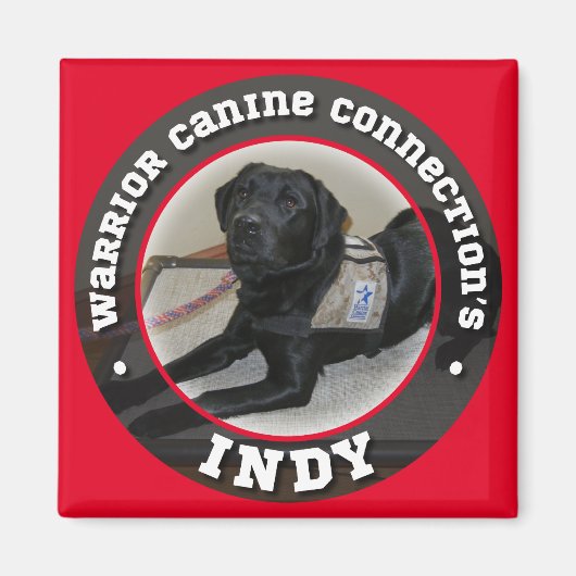 インディ磁石 マグネット (正面)