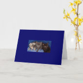 インディ、灰色少しおよびMicah カード (黄色い花)