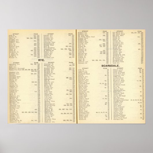 インデックスRye、スカーズデール ポスター (正面)