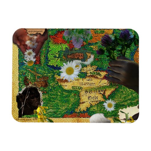 インドとキューバ マグネット (横)